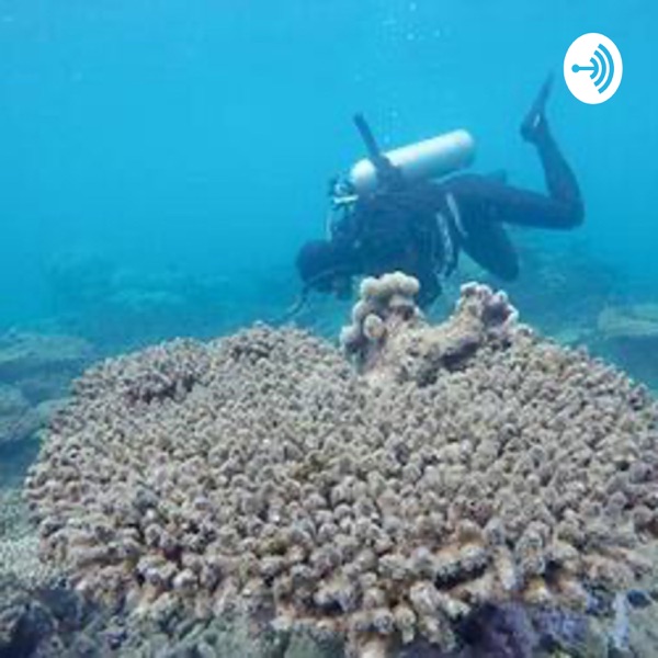 Dying Oceans