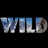 WILDERTAINMENT artwork