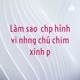 Làm sao để chụp hình với những chú chim xinh đẹp