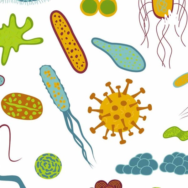 Microbiology & Startup