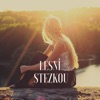 Lesní Stezkou