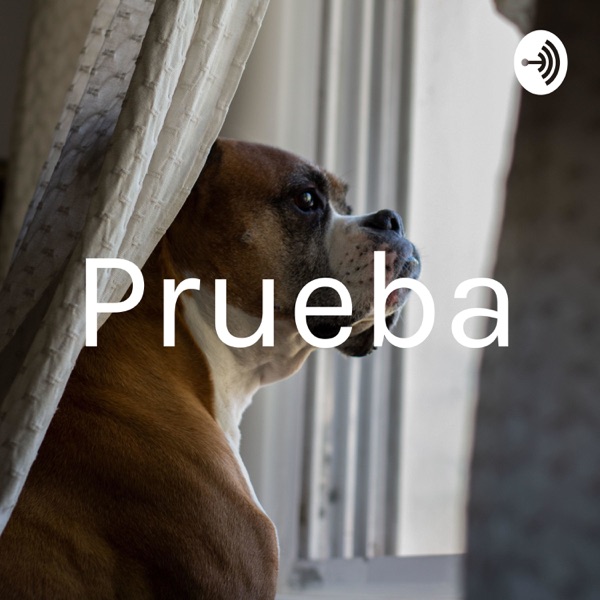 Podcast Canino