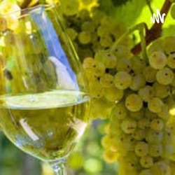 5vinos más caros del mundo