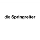 Folge 2: Was macht einen guten Springreiter aus?