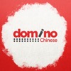 Learn Chinese in 100 Days | Domino Chinese