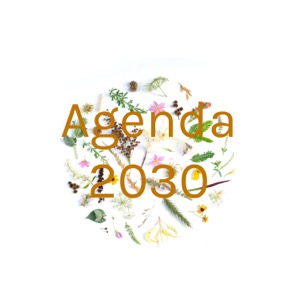 Agenda 2030