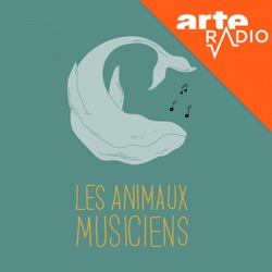 Les animaux musiciens