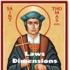 Laws Dimensions: Musing on Law, Politics, and Culture  artwork