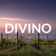 DIVINO Podcast