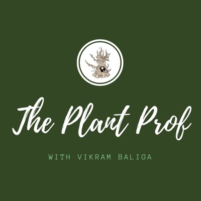 The Plant Prof The Plant Prof