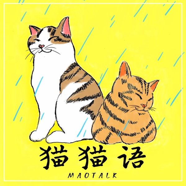 猫猫语