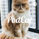 PodCat