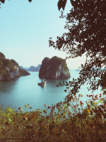 Finding The Home podcast
