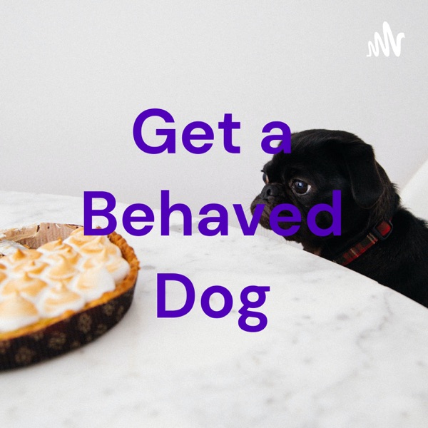 Get a Behaved Dog Artwork