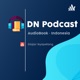 DN Podcast