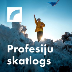 Profesiju skatlogs