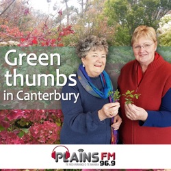 Greenthumbs in Canterbury - 11 Mar