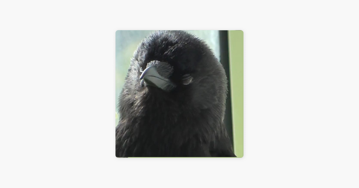 â žtalk Wildlife Podcast On Apple Podcasts â žtalk Wildlife Podcast On Apple Podcasts