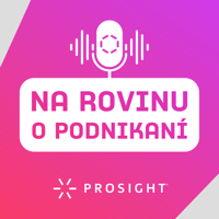 Na rovinu o podnikaní