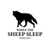 While The Sheep Sleep artwork