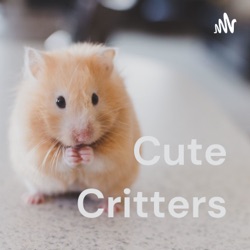 Cute Critters (Trailer)