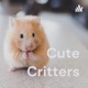 Cute Critters