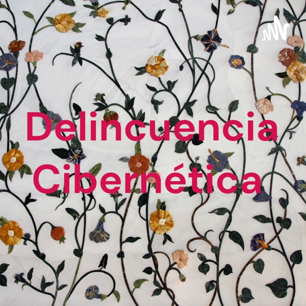 Delincuencia Cibernética 