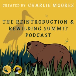 Episode 5: Vulture Conservation Foundation