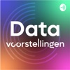 Data Voorstellingen artwork