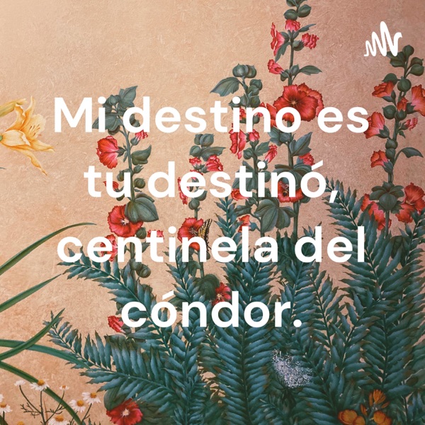 Mi destino es tu destinó, centinela del cóndor.
