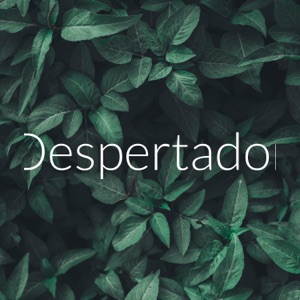 Despertador