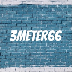3Meter66