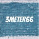3Meter66