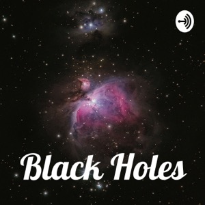 Black Holes