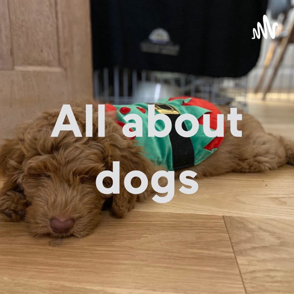 All about dogs