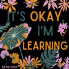 It's Okay, I'm Learning! artwork