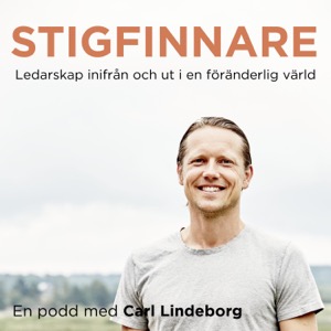 Stigfinnare