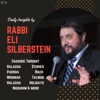 Daily Insights by Rabbi Eli Silberstein artwork