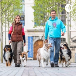 Was tun, wenn mein Hund an der Leine andere Hunde anbellt?