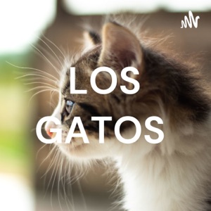 LOS GATOS