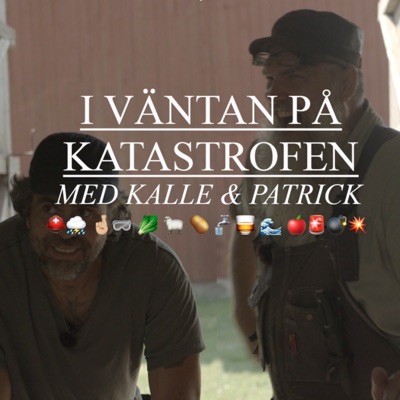 I väntan på katastrofen:Kalle Zackari Wahlström