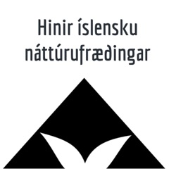Hinir íslensku náttúrufræðingar - Jón Björnsson, þjóðgarðsvörður