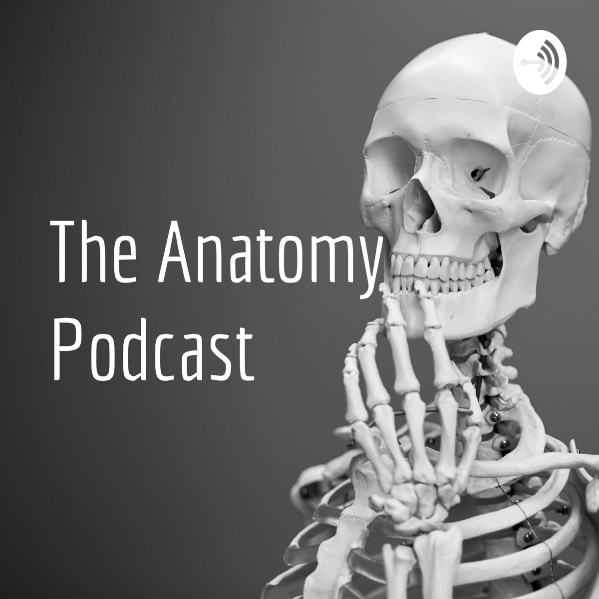 The Anatomy Podcast Podcast Series Apple Podcasts