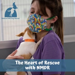 The Heart of Rescue with NMDR
