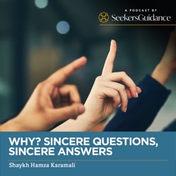 25 -Why, Sincere Questions, Sincere Answers- Allah Asks: Why do you despair? – Shaykh Hamza Karamali