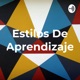 Estilos De Aprendizaje