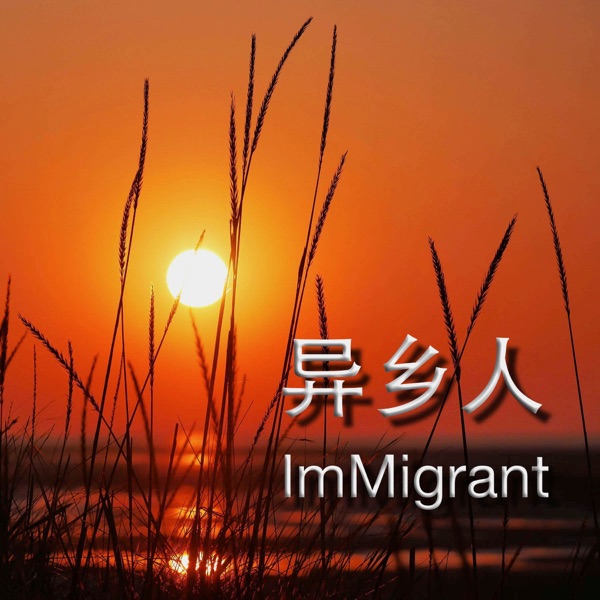异乡人 