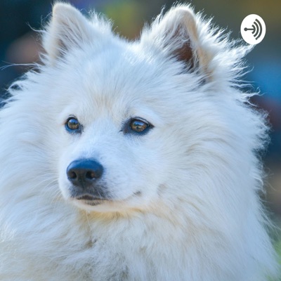 Independence war / Yorktown:Melisa Erol