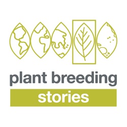 S4E2 Plant Breeding Stories - Susan McCouch