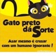A História Do Gato Preto.